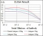 KLK3 Antibody